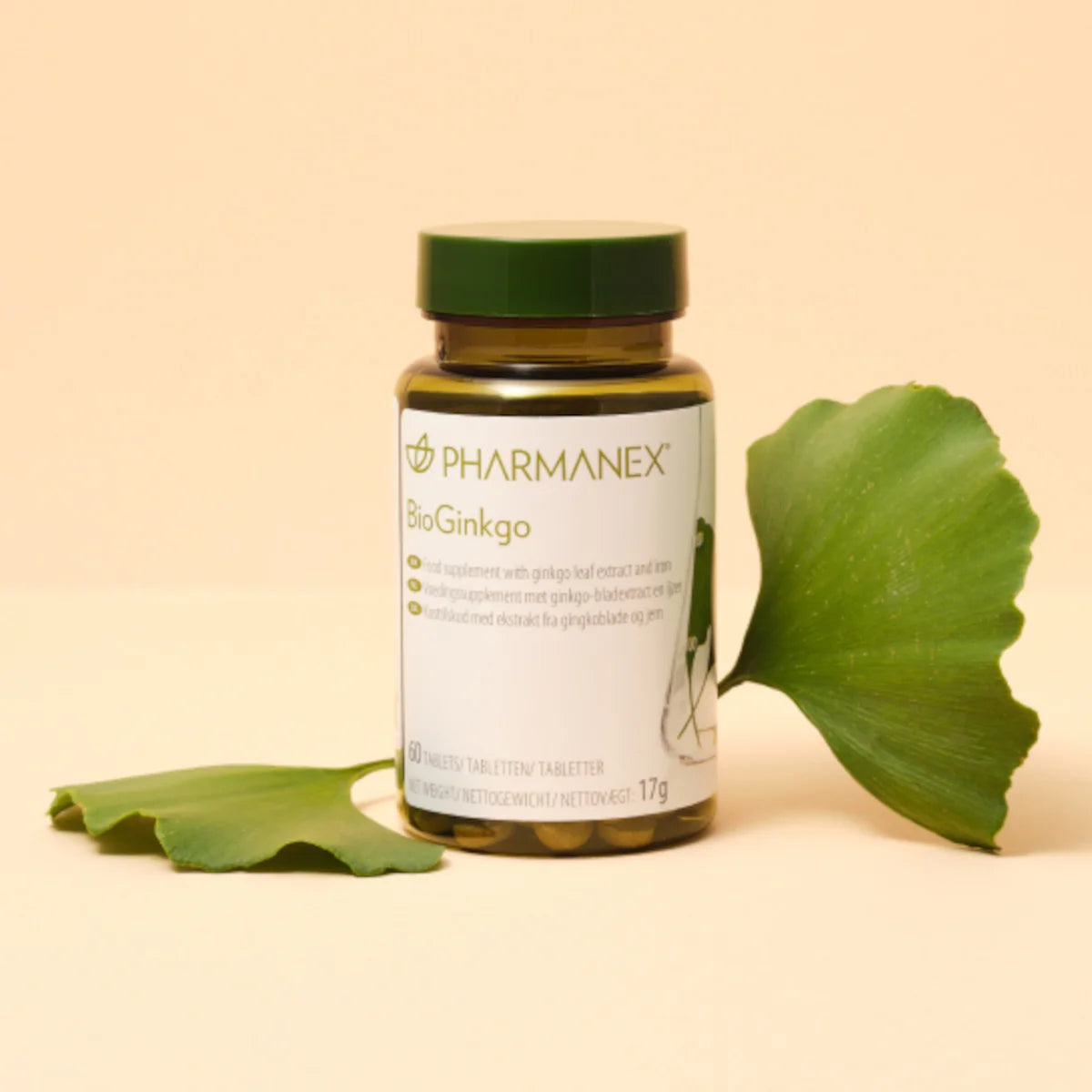 BioGinkgo